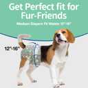 Pet Soft Dog Diapers Female, Disposable Female Dog Diaper, Doggie Diapers for Cat Puppy with Adjustable Foam Tail Hole(Green,12M)