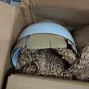 Amazon Basics Dinnerware Set, Microwave and Dishwasher Safe, Service for 6, 18-Piece Complete Kitchen, Plates, Dishes, Bowls, White Porcelain Coupe