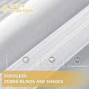 Cordless Zebra Blinds for Windows, 20" W x 72" H Zebra Roller Shades with Valance Free Stop Zebra Blinds Roller Shades, Light Control Window Treatments Dual Layer Sheer Blinds for Day and Night (White)
