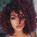 Red Afro Curly Wig for Black Women Red Kinky Burgundy Wigs Synthetic Natural Looking Daily Party Cosplay Hair Wig