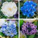 Pinkpuii 26 Inch Spring Wreaths for Front Door Outside Large Artificial Summer Wreath with Blue Hydrangea, White Peony Flowers and Eucalyptus Leaves Indoor Outdoor Porch Farmhouse Home Wall Dcor