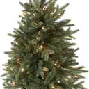 National Tree Company Artificial Christmas Tree For Entrances | Includes White Lights and Pot | Everyday Collections - 3 ft