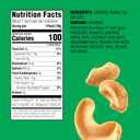 Emerald Nuts Roasted and Salted Cashews 7ct (1-Pack), 100-Calorie Individual Packs, Plant-Based Protein, Kosher Certified, Non-GMO, Contains No Artificial Preservatives, Flavors or Synthetic Colors (EXP 04/16/26)