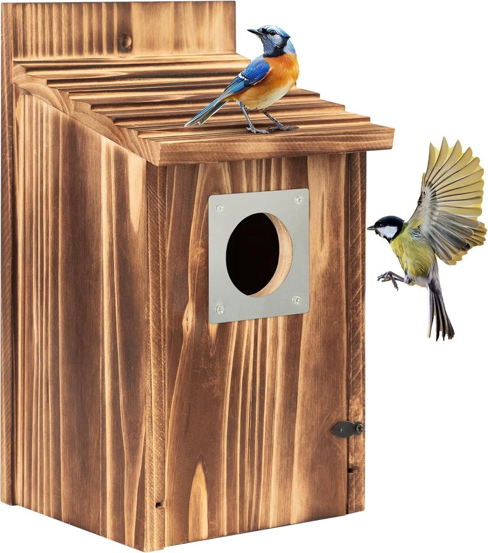 2 Pack Bird Houses for Outside with Metal Predator Guard for Bluebird Wren Swallow Finch, Carbonized Wooden Nesting Boxes for Outdoor, Sturdy Bird House,Easy to Clean