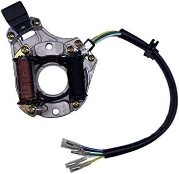 Zsoog 2 Coil Stator Ignition Magneto Plate for Chinese ATV 50cc 70cc 90cc 110cc 125cc Quad Dirt Bike for Taotao Sunl Zsoog 2 Coil Stator Ignition Magneto Plate for Chinese ATV 50cc 70cc 90cc 110cc 125cc Quad Dirt Bike for Taotao Sunl