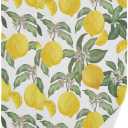 Lemon Hand Towels for Bathroom Set of 2 Tropical Fruit Yellow Summer Ripe Lemons Branches Decorative Bath Hand Towel Soft Absorbent Kitchen Dish Spa Yoga Guest 14.4"x28.3"