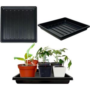 Plant Growing Trays for Seedlings Microgreen Seed Starter Shallow Plants Tray Drip Tray Standard 1010 Tray no Holes 5 Pack Black 10.7 x 10.7 inches Square Trays