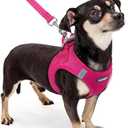 rabbitgoo Dog Harness Small Sized and Leash Set, Step in Soft Light Puppy Vest, Breathable Mesh Pet Harness, Reflective for Safe Easy Walking, Rosa Red XXXS