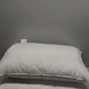 Three Geese White Goose Feather Cotton Pillows Standard Size Set of 2- Soft 600 Thread Count 100% Cotton, Medium Firm,Soft Support Surround Fill Cotton (Standard Size:Pack of 2)