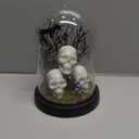 Halloween Decorations Indoor, Lighted Skull in Plastic Dome Cloche with Bat, Gothic Decor Cute Spooky Halloween Ghost Decor for Tabletop Mantel Display