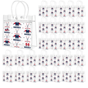 WZSTNBLA 30Pcs Ice Hockey Gift Bags Ice Hockey Party Favor Goodie Bag with Handles 8 x 8 x 3.15 Inch, Clear PVC Bags Sport Theme Treat Bag for Sports Team Gifts Birthday Holiday Party Supplies