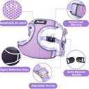 Lukovee No Pull Puppy Harness and Leash Set - Soft Lightweight Escape Proof Puppy Vest Harness, Breathable Adjustable Pet Harness with Dog Leash for Small Dogs (Purple, XXS)