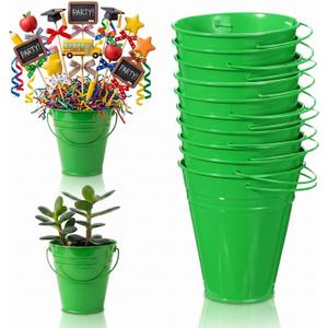 Sadnyy 12 Pack Metal Buckets with Handle, Galvanized Bucket 4.5 x 5 Inch Basket Bucket Party Supplies, Crafts for Christmas Halloween Candy Bars Vase Crafts(Green)