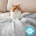 Bedsure GentleSoft Sherpa Fleece Blanket Queen Size for Bed, Non-Heated, Thick and Warm Throw for Women and Men, Soft Fuzzy Plush Queen Blanket for Winter, Light Grey, 90x90 Inches