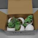 Der Rose Set of 6 Succulents Plants Artificial in Pots Small Fake Plants for Bedroom Aesthetic Living Room Shelf Bathroom Decor Office Desk Accessories (Green)