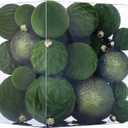 Velvet Christmas Ball Ornaments Avocado Green Christmas Tree Decorations 36pcs Shatterproof Flocked Ornaments Set with 5 Styles in 3 Sizes(Small Medium Large) (Mixed)