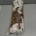 Fake Mums Artificial Fall Flowers Fake Plants for Outdoors Autumn Decor, 12 Bundles White Silk Morning Glory with Eucalyptus Look Real UV Resistant Faux Flowers for Outside Planters Front Door Yard