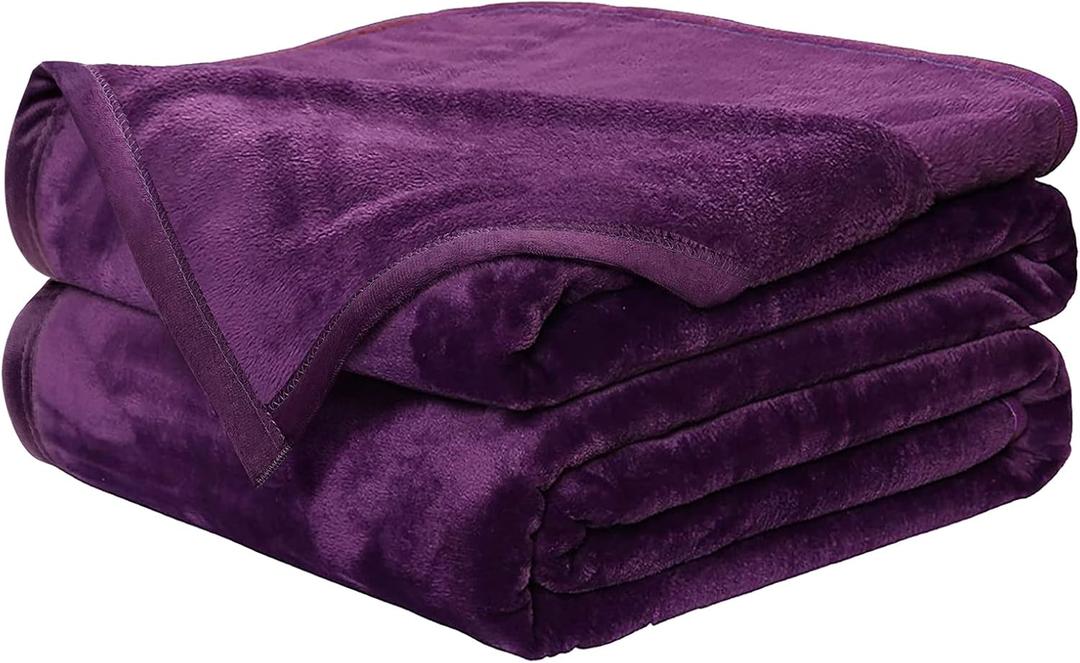 EASELAND Soft Blanket Queen Size Winter Warm Fuzzy Microplush Lightweight Thermal Fleece Blankets for Couch Bed Sofa,90x90 inches,Purple