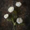 6 Pcs 27" Artificial Silk Peony Flower Branches for Vase Home Decor(Cream) | Fake Lifelike Peonies Stems, Faux Flower Picks, for Floral Arrangement/Table Centerpieces/DIY/Home/Farmhouse/Indoor Decor