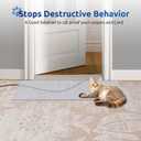Carpet Protector for Pets Cat Carpet Protector Repellent Barrier for Doorway Corner Anti Scratch Under Door Cat Scratch Protector Mat, Easy to Cut Plastic Stopper (Clear, 3.6FT-1pack)