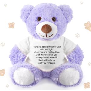 Lenwen a Bear Hug Gift Get Well Soon Sympathy for Women Plush Stuffed Animal Hug Thinking of You Condolences Memorial Loved Present(Purple,Bear)