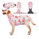 Kuoser Dog Recovery Suit Female, Dog Onesie for Surgery, Female Spay and Male Neuter Onesie for Post-Op Care, Prevent Licking Puppy Onesies, L