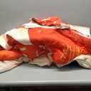 Queen Size Comforter Set with 2 Pillowcases, Happy Merry Christmas Santa Claus Soft 3 Pcs Bedding for Kids and Adults Bedroom Bed Decor