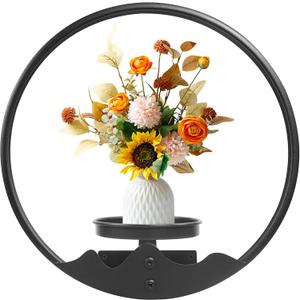 Round Picture Frame Wall Plant Holder Black Wall Hanging Planters Metal Window Plants Shelf Plant for Indoor Outdoor Garden Rockery Decoration
