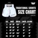 TUFF Muay Thai Boxing Shorts "Grey Roaring Tiger" (XL)