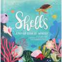 Shells: A Pop-up Book of Wonder