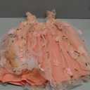 BGFKS Layered Tulle Tutu Dress for Toddler Girls,Baby Girl Rainbow Tutu Princess Skirt Set with Flower Headband. (12 Months, Flower Orange Pink)