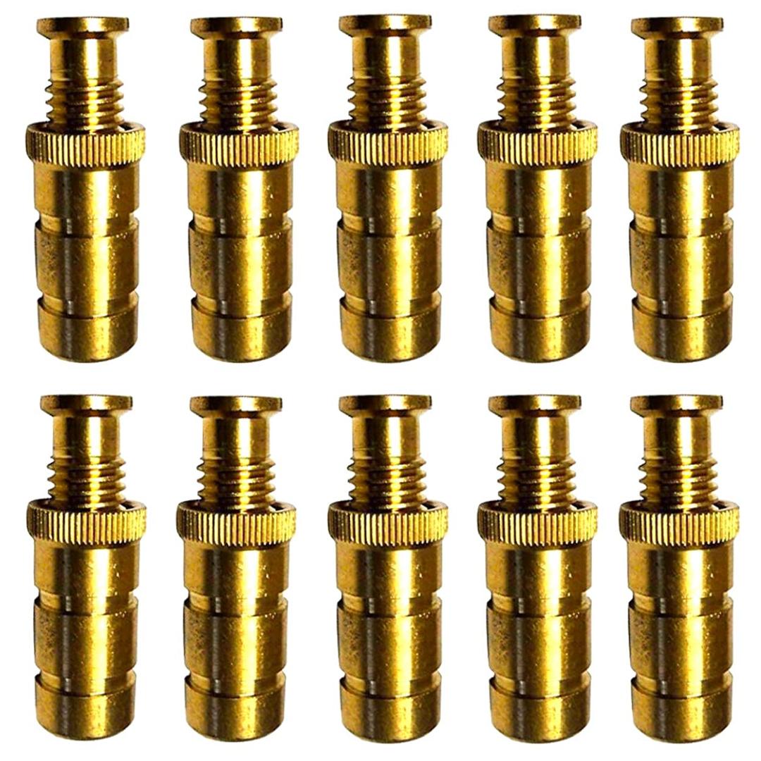 Woodgrip 10 Pack Brass Pool Cover Anchors for Concrete - Universal Fit for Inground Pool Safety Covers - Easy Installation Closing Kit - Safety Covers - Rust Resistant Anchors