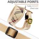 PUPTECK Soft Mesh Dog Harness Small Sized and Leash Set Pet Puppy Cat Comfort Padded Vest No Pull Harnesses, Beige, XS