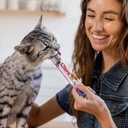 INABA Salmon Churu Cat Treats, Lickable, Squeezable Creamy Pure Cat Treat with Green Tea Extract & Taurine, 0.5 Ounces Each Tube, 20 Tubes, Salmon & Tuna Variety Box (1 Count (Pack of 20))