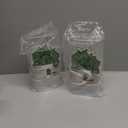 vacane Green Saver Herb Keeper  Refrigerator Storage Container for Cilantro, Asparagus, Fresh Herbs, Dishwasher Safe, Extends Freshness 10 Days  2 Pack