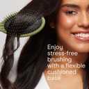 Conair Detangling Hair Brush Set, 3-Pack Detangler Brushes for Wet or Dry Hair, Gentle Detangler for All Hair Types, Bristle Hair Brushes for Women, Evergreen, Blush Pink, Black Assorted