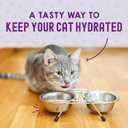 Stella & Chewy's Carnivore Cravings Wet Cat Food - Premium Pouches - Grain Free, High Protein Chicken & Salmon - Perfect for Picky Eaters - Complete Meal or Topper (2.8 oz, 12 Pack) (EXP 03/24/27)