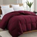TEXARTIST Premium 2100 Series Queen Comforter All Season Breathable Burgandy Comforter Soft 4D Spiral Fiber Quilted Down Alternative Duvet Insert with Corner Tabs Luxury Hotel Style (88"x88")
