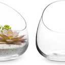 MyGift 5 Inch Premium Clear Glass Air Plant Terrarium, Mini Candy Bowl Jar, Tealight Candle Holder, Succulent Cactus Plant Vase, Set of 2