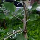 Fruit Tree Branch Puller 50pcs, Fruit Tree Branch Limb Spreader Fruit Tree Branch Garden Bonsai Puller Tying Machine Plants Branch Bending Tools (M5.1IN)