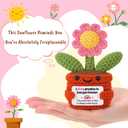 Handmade Positive Crochet Pink Sunflower Potted Plant with Card, I Love You Gift for Partner Lover, Birthday Valentines Day, Wedding Anniversary for Her Wife Girlfriend, Sunflower Desk Decor