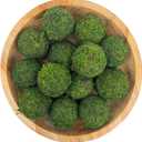 ANDALUCA Decorative Green Moss Balls Bowl Filler Orbs (Pure Moss)