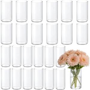 24 Pcs Glass Cylinder Vases for Centerpiece, 6 Inch Clear Cylinder Flower Vase Bulk Small Glass Candle Holder Vases for Wedding Home Party Decor (24)