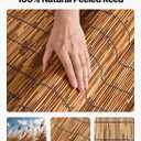 VEVOR Natural Reed Fencing, 4 ft x 16.4 ft, 3 Pack Decorative Natural Reed Fencing Roll, Decorative Fence for Backyard Divider, Privacy Screen Panel Curtain for Balcony Patio Garden Backyard Outdoor