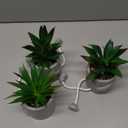 OLEEK small fake plants office decor - fake succulents plants artificial for desk decor - fake plant office decorations for work - office decor for women - office plants cubicle accessories room decor (collection A (set of 3))