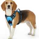 Eagloo Dog Harness Small Sized Dog, No Pull Service Vest with Reflective Strips and Control Handle, Adjustable and Comfortable for Walking, No Choke Pet Harness with 2 Metal Rings, Sky Blue, S
