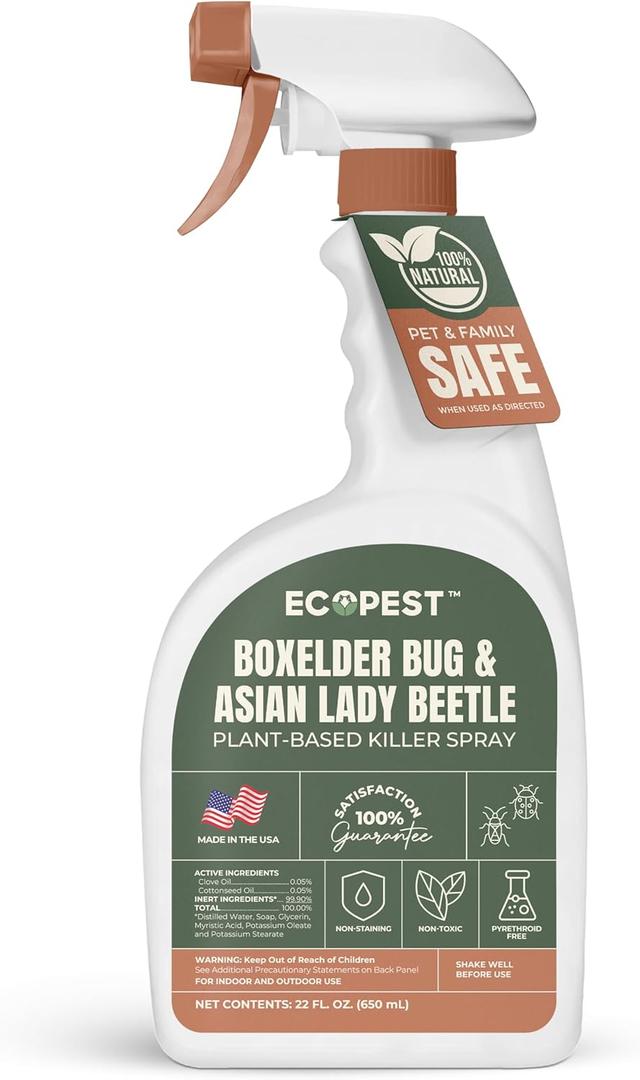 Boxelder Bug & Asian Lady Beetle Spray  Natural, Plant-Based Indoor & Outdoor Killer | Non-Staining, Safe for Doors, Windows, Siding & Baseboards | Child & Pet Safe, Low Odor, Eco-Friendly (22 oz) (22 Fl Oz (Pack of 1))