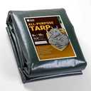 GUARD SHIELD Super Heavy Duty Green/Silver Poly Tarp Cover 8x10 Feet Waterproof 16mil Thick UV and Tear Resistant Tarpaulin with Grommets and Reinforced Edges