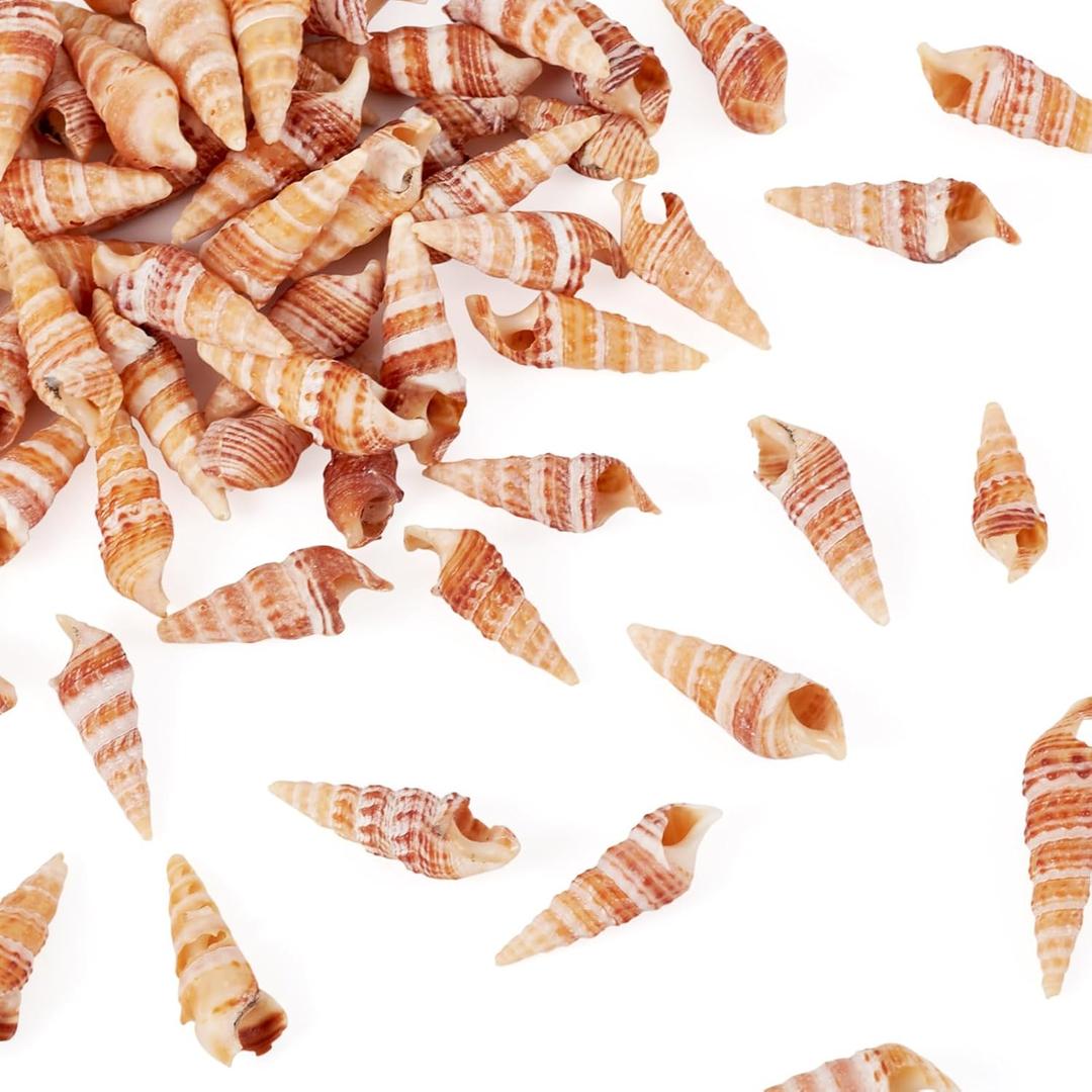 Craftdady 100pcs Natural Conch Shell Small Beach Sea Shells for Fish Tanks Vase Filler DIY Craft Home Decor Ocean Themed Party 27-29 mm