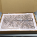 HOURIA Vintage Tree Sketch Framed Canvas Wall Art Set,Natural Brown and Gray Woodland Wall Decor,Mid Century Nature Forest Artwork,Textured Botanical Art Print for Living Room,Bedroom,Office-16"x24"x3